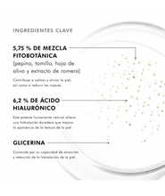 Cargar imagen en el visor de la galería, PHYTO CORRECTIVE ESSENCE MIST SKINCEUTICALS
